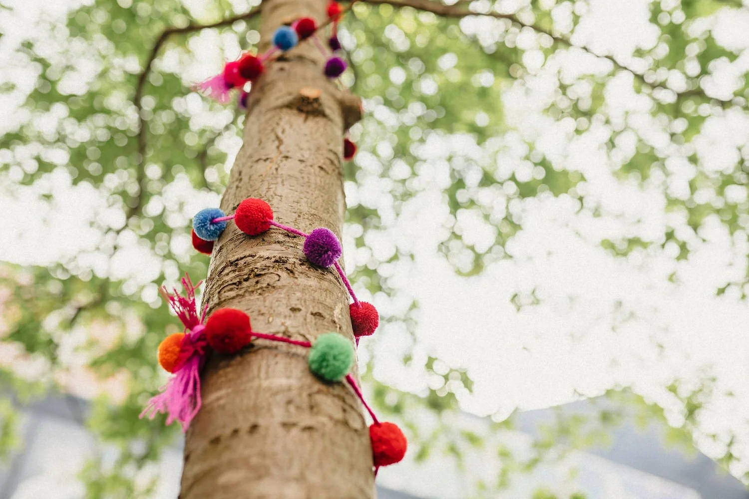 The Dark Horse Belfast Pub Wedding 0117.JPG