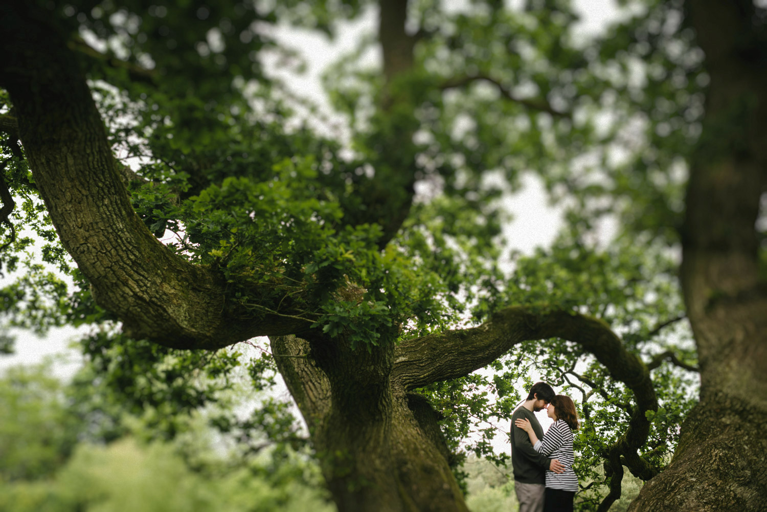  Best Northern Ireland Wedding Photographers, Loretta Hurson, Youthemus 