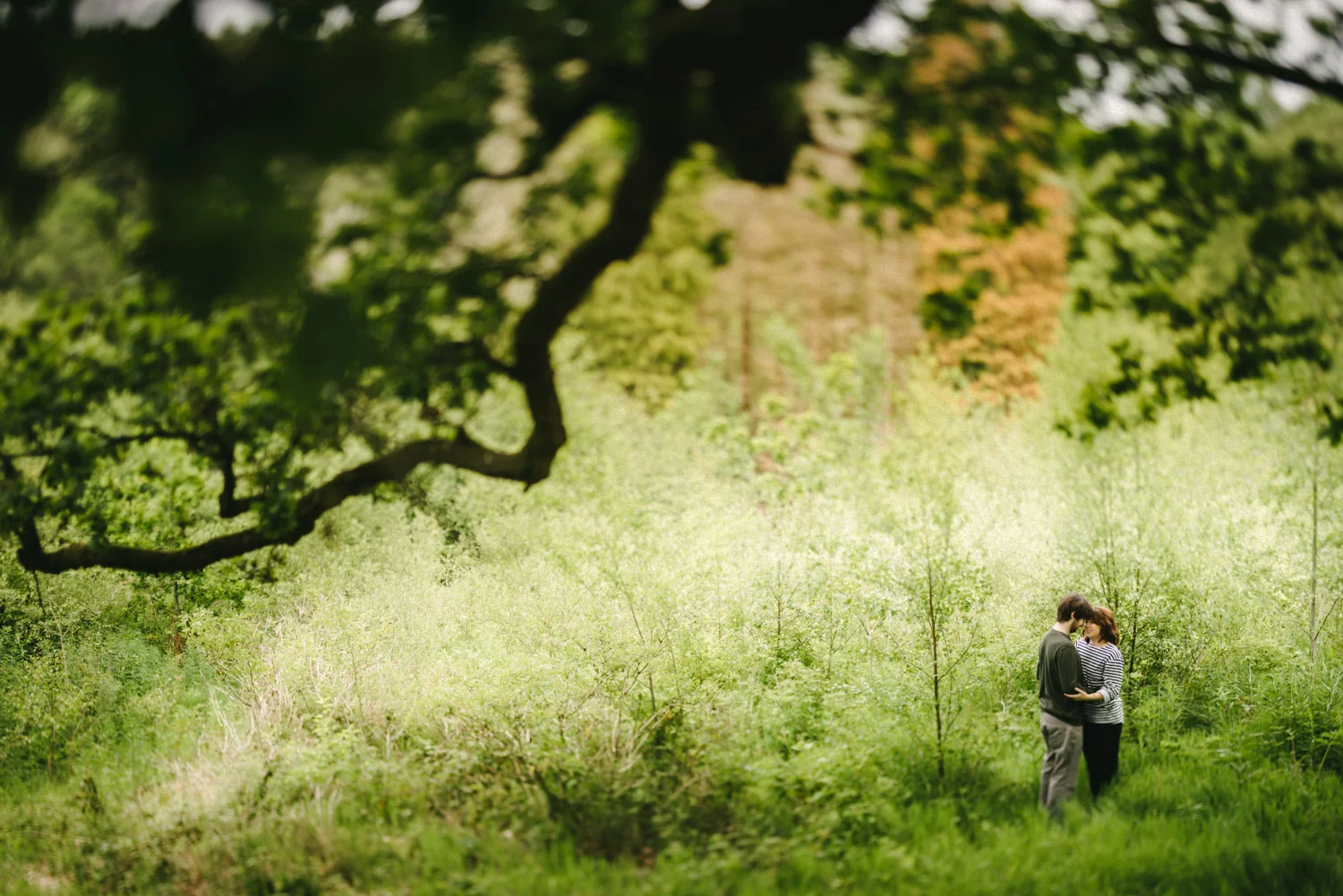  Best Northern Ireland Wedding Photographers, Loretta Hurson, Youthemus 