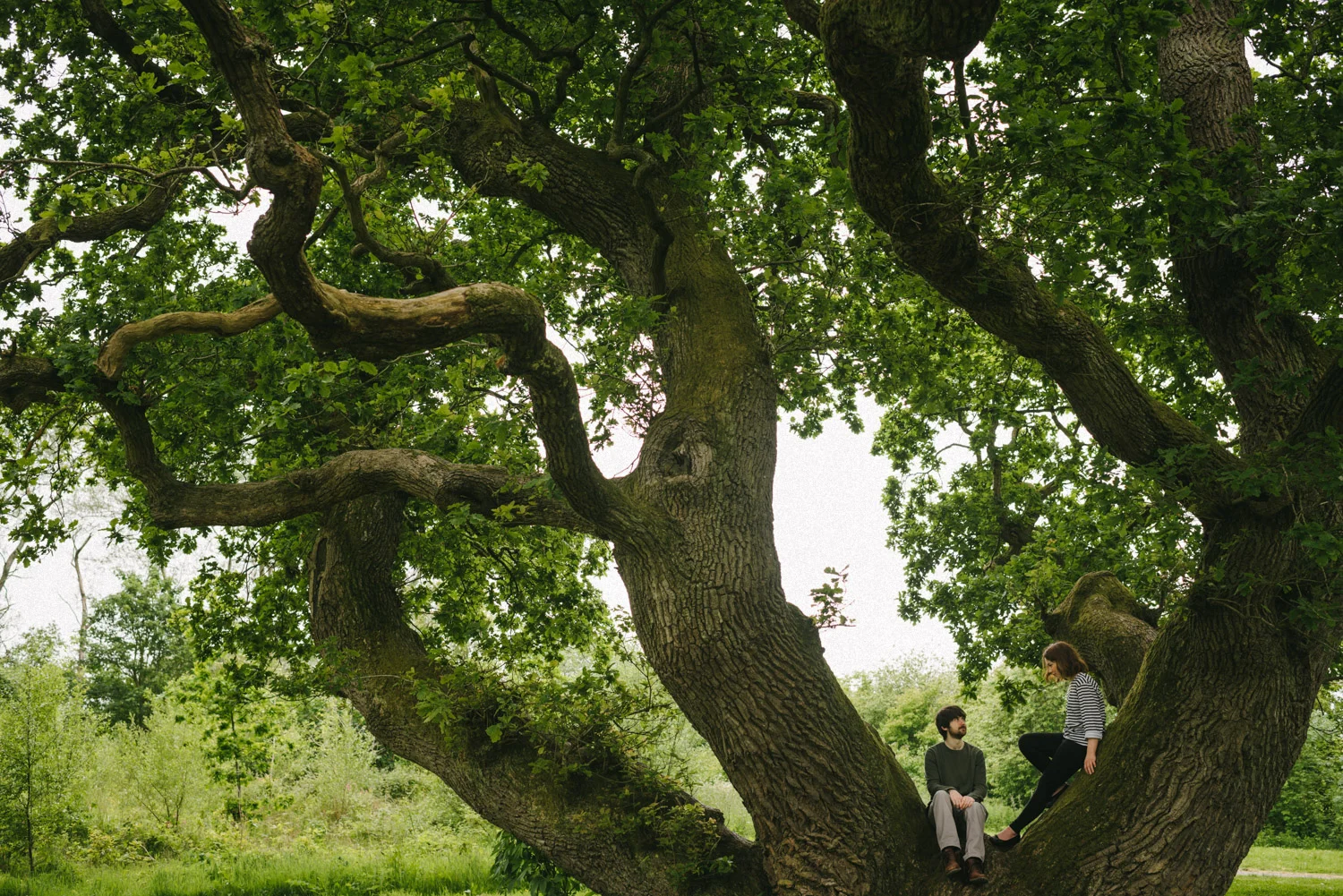  Best Northern Ireland Wedding Photographers, Loretta Hurson, Youthemus 