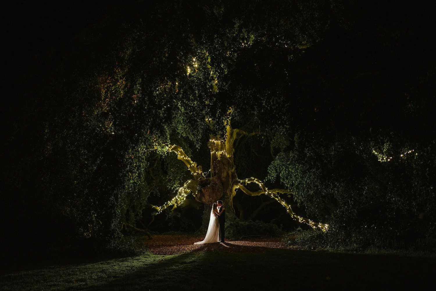 Bellinter House Wedding Photos 0013.JPG