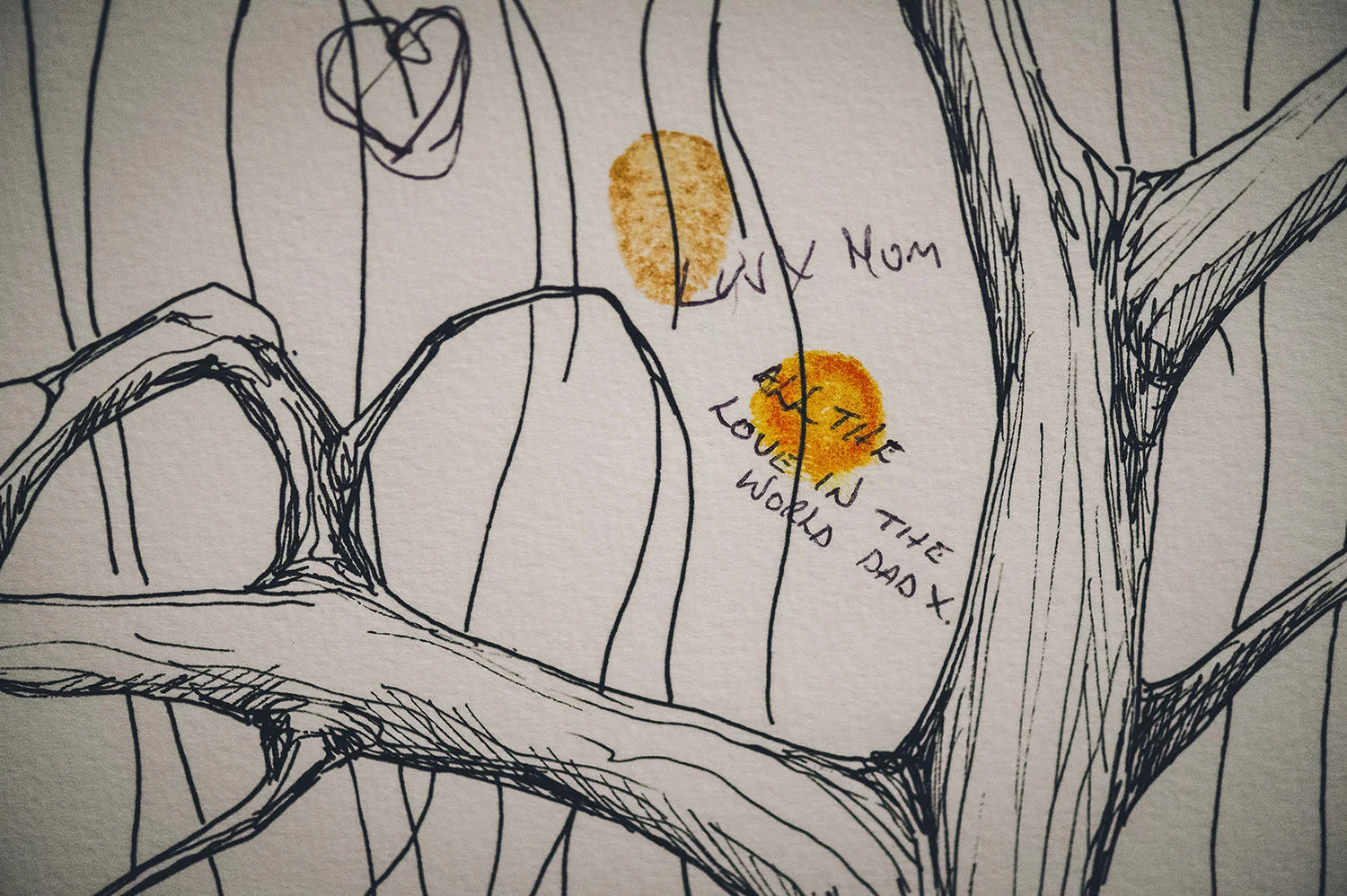  Northern Ireland Wedding Photographers Bellinter House 