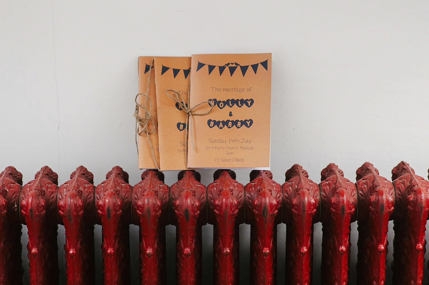  Northern Ireland Wedding Photographers Bellinter House 