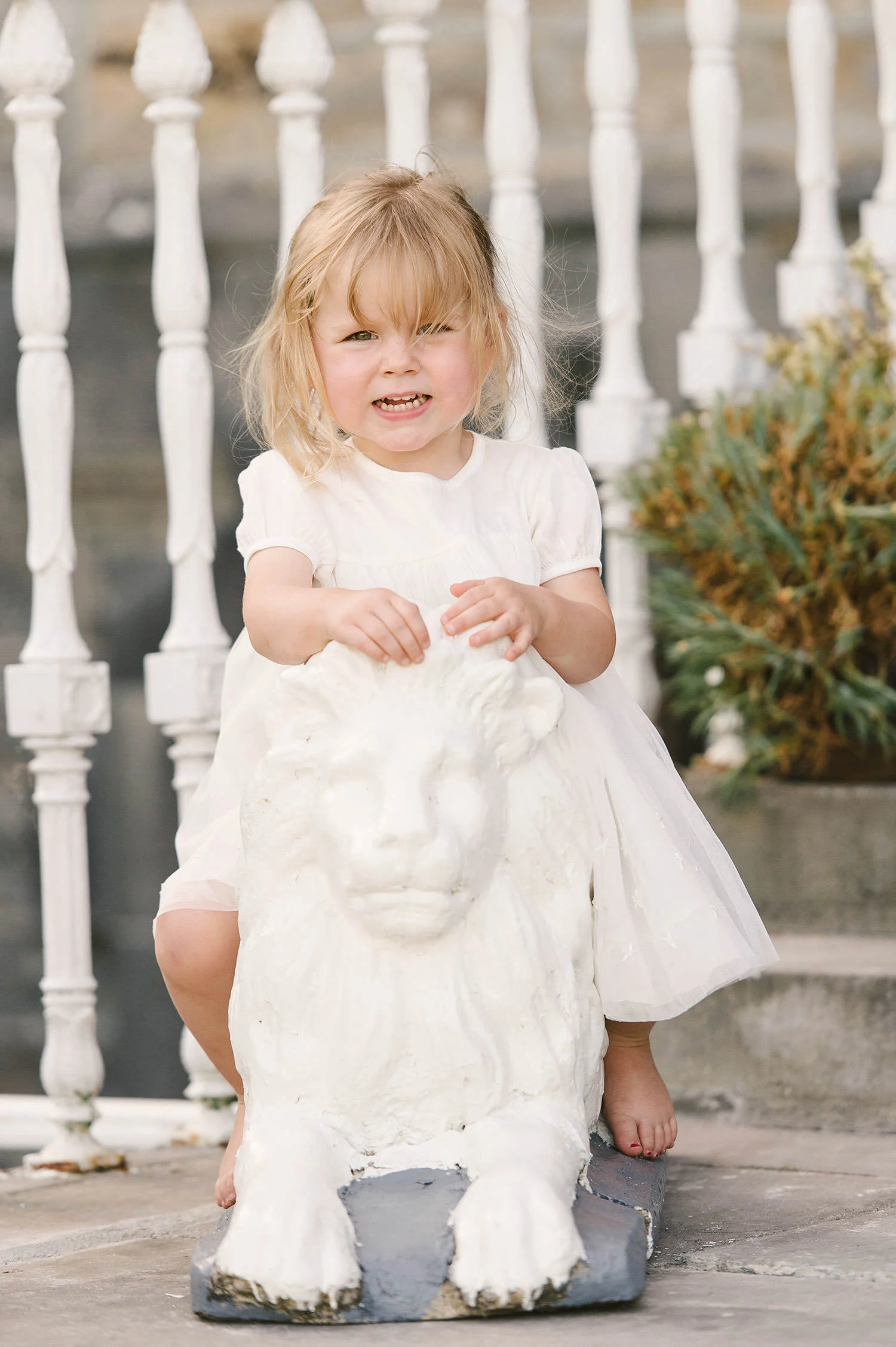  Northern Ireland Wedding Photographers Bellinter House 