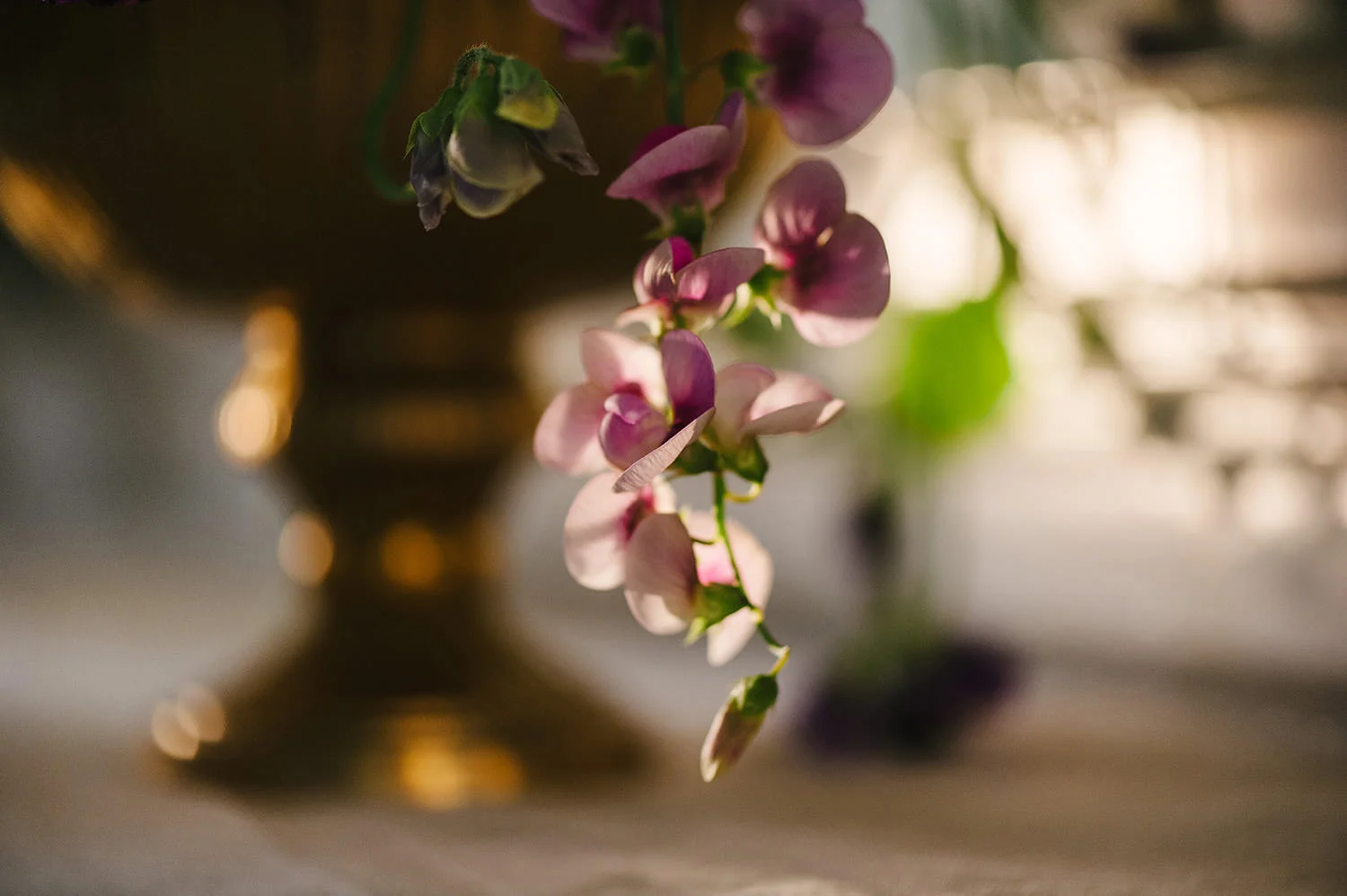  Northern Ireland Wedding Photographers Bellinter House 