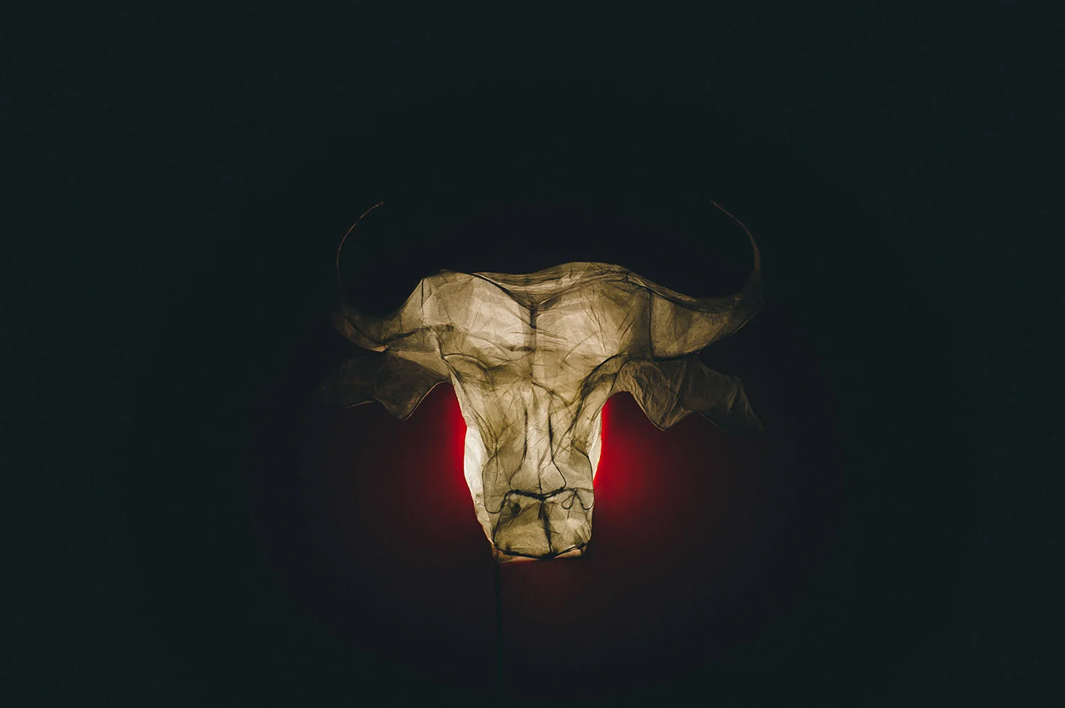  Northern Ireland Wedding Photographers Bellinter House 