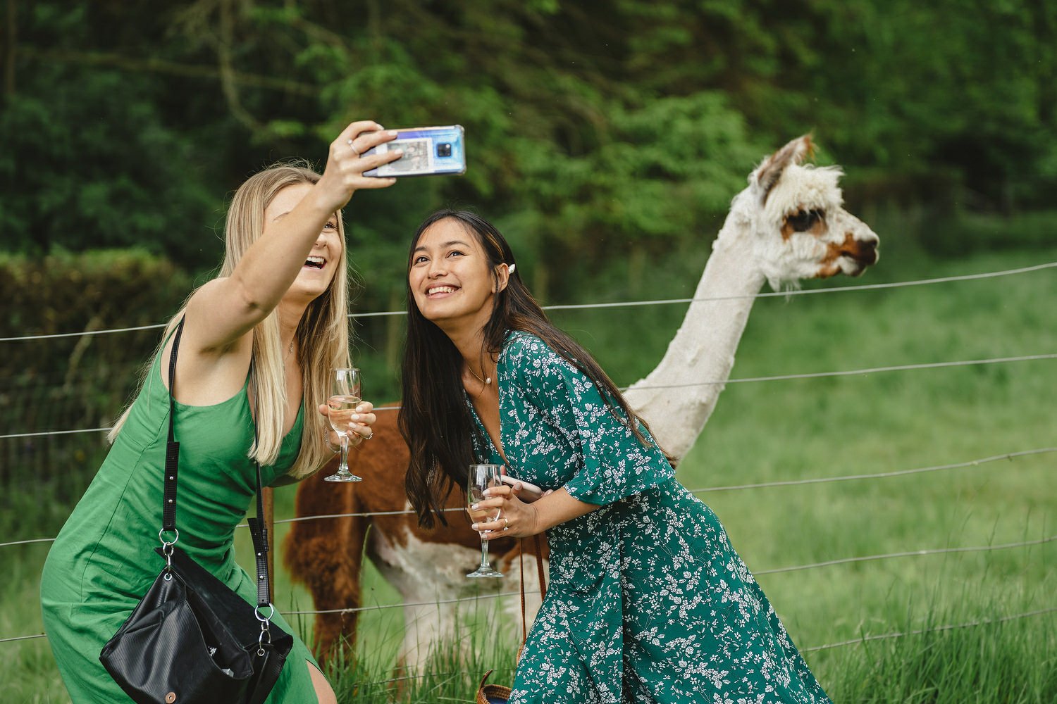  The Best wedding Photographers in Northern Ireland 2022. Planning a wedding in Ireland? Here are some of the best wedding photographs taken across Ireland and Northern Ireland. 