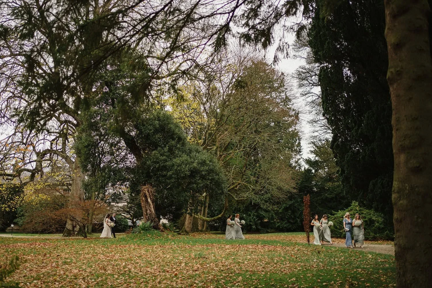  The Best wedding Photographers in Northern Ireland 2022. Planning a wedding in Ireland? Here are some of the best wedding photographs taken across Ireland and Northern Ireland. 