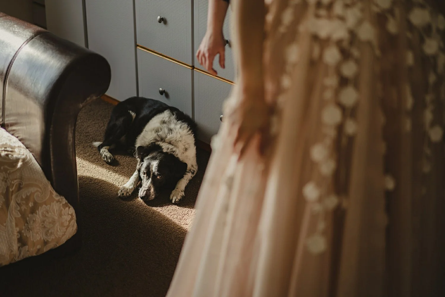  The Best wedding Photographers in Northern Ireland 2022. Planning a wedding in Ireland? Here are some of the best wedding photographs taken across Ireland and Northern Ireland. 