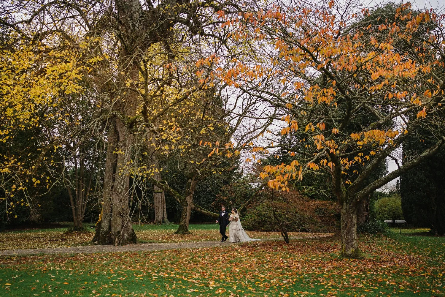  The Best wedding Photographers in Northern Ireland 2022. Planning a wedding in Ireland? Here are some of the best wedding photographs taken across Ireland and Northern Ireland. 