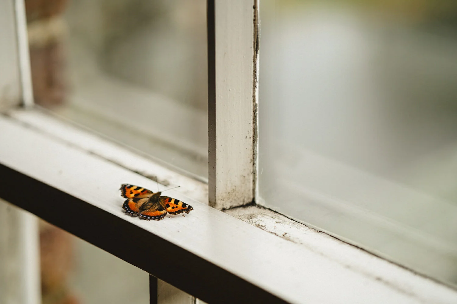  Best Wedding Photographers, Belfast, Nothern Ireland. 