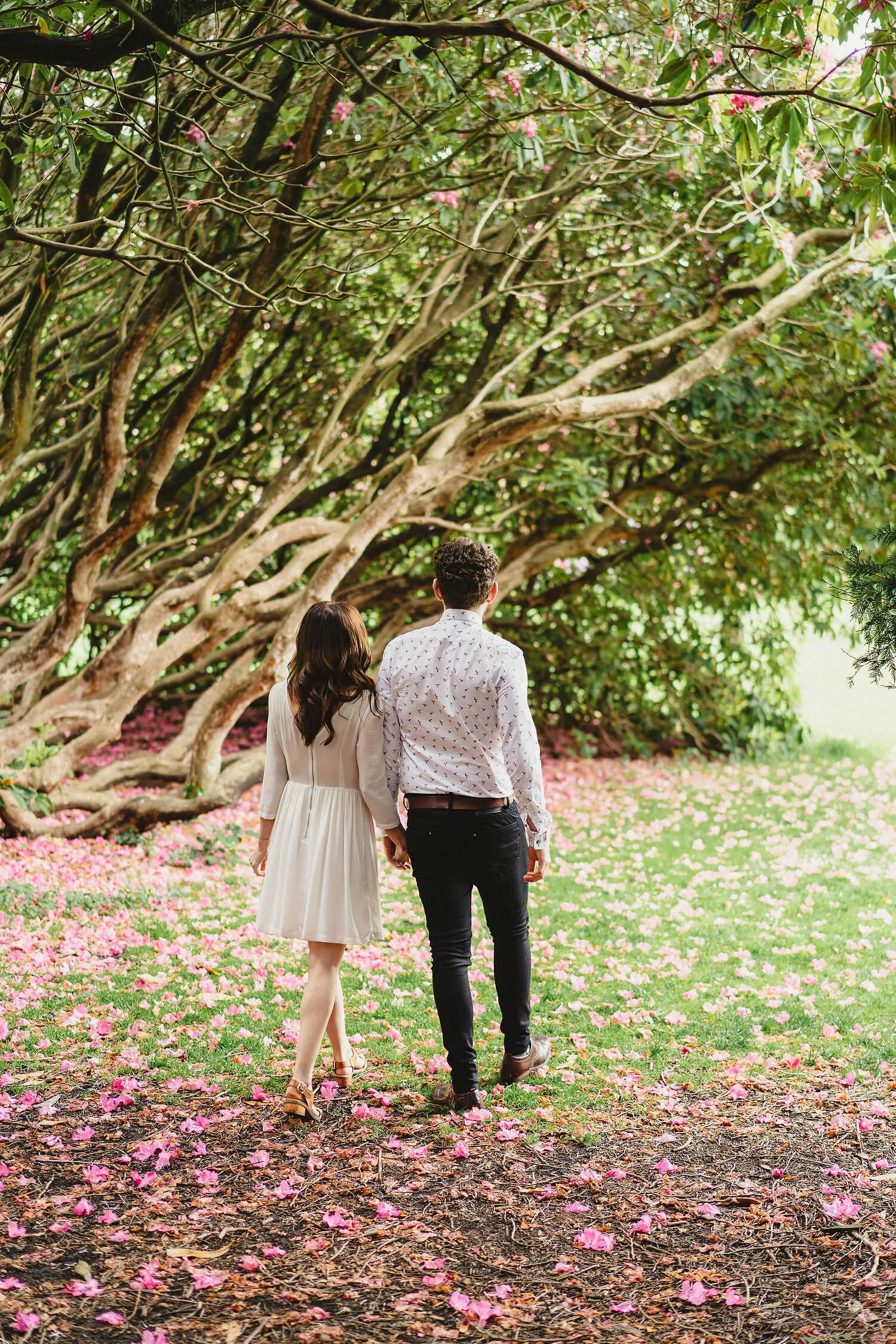  Best Wedding Photographers, Belfast, Nothern Ireland. 