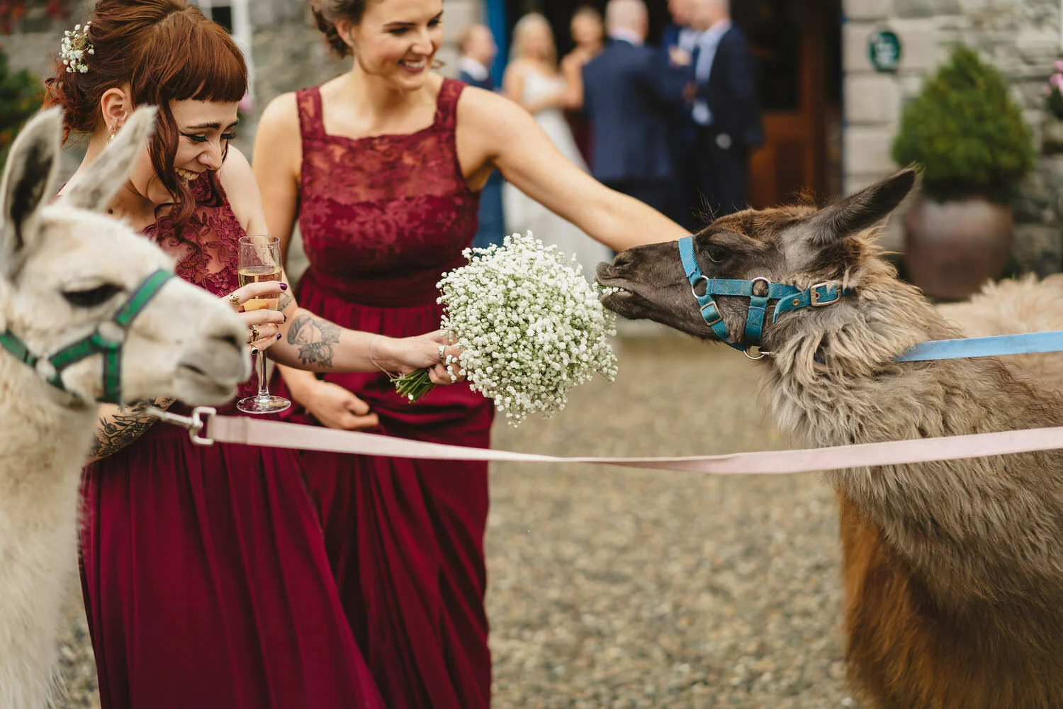  Best Wedding Photographers, Belfast, Nothern Ireland. 