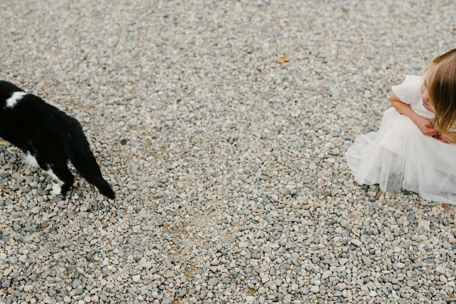  Top 10 wedding photographers Northern Ireland 