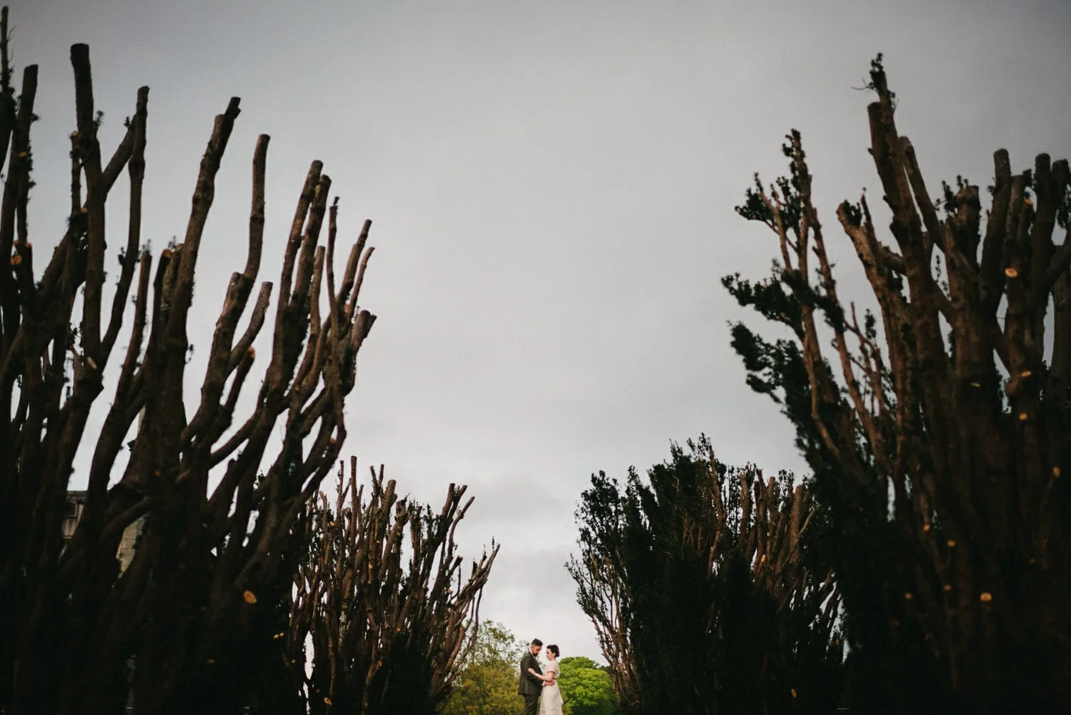  Top 10 wedding photographers Northern Ireland 