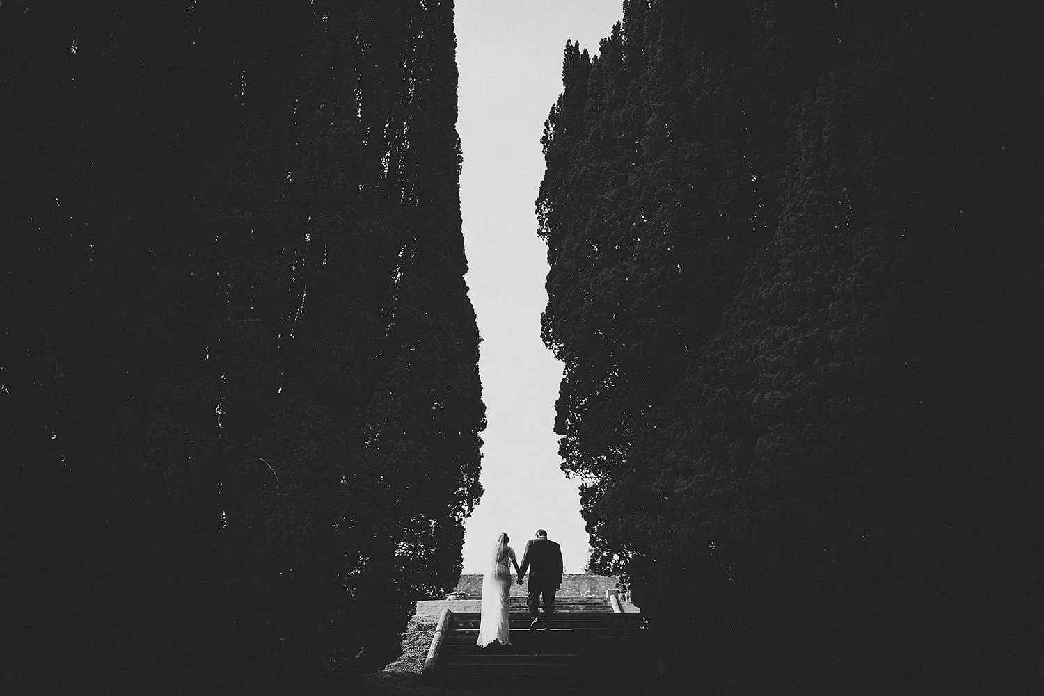  Top 10 wedding photographers Northern Ireland 