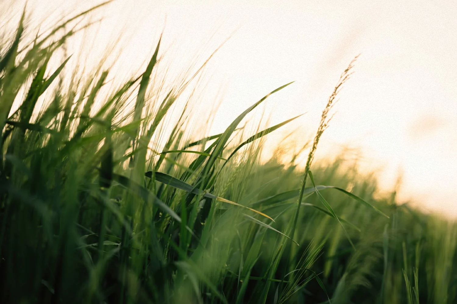  Top 10 wedding photographers Northern Ireland 