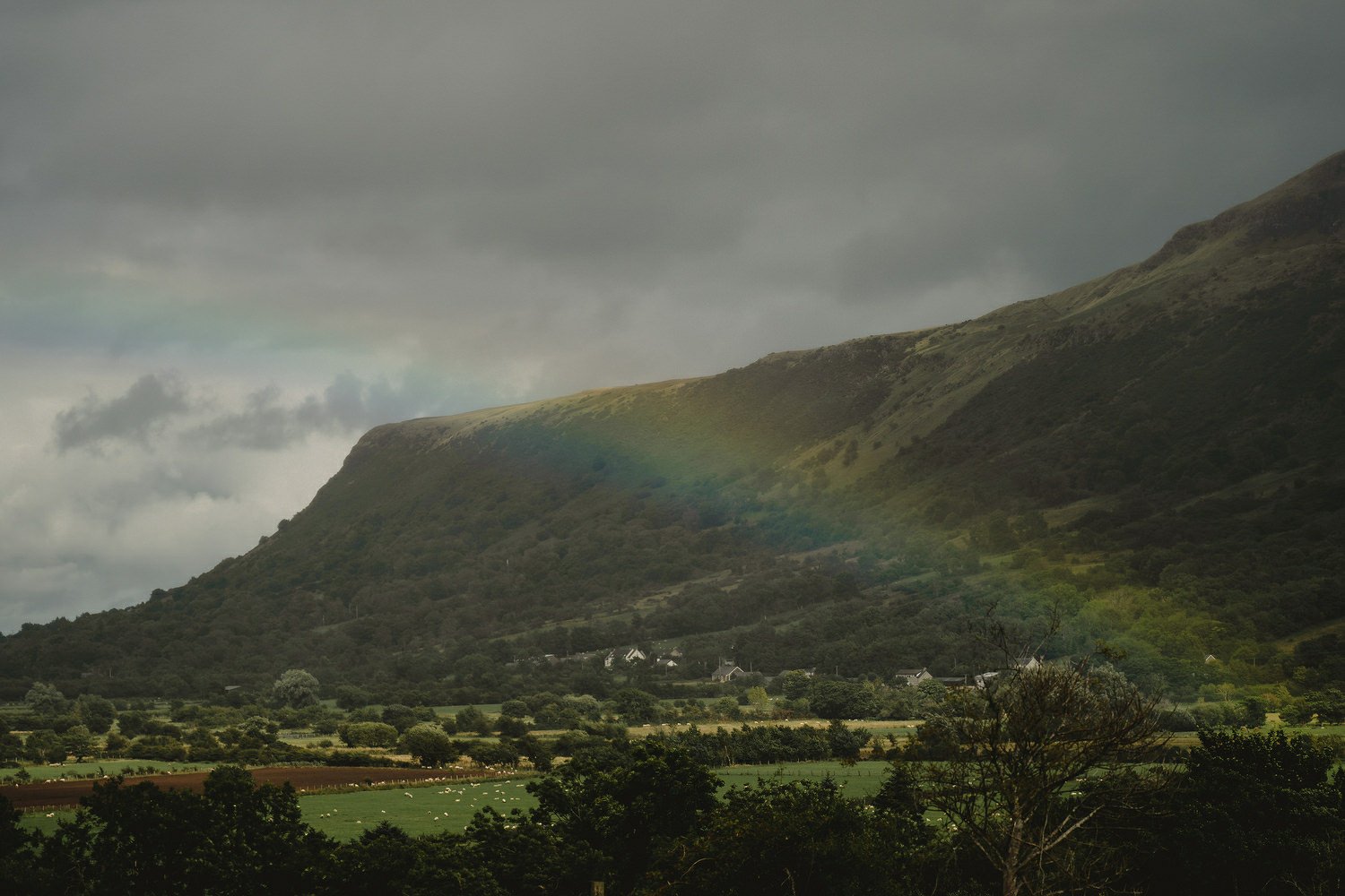  Best wedding photos of 2021. Best Wedding photographers in Northern Ireland. 