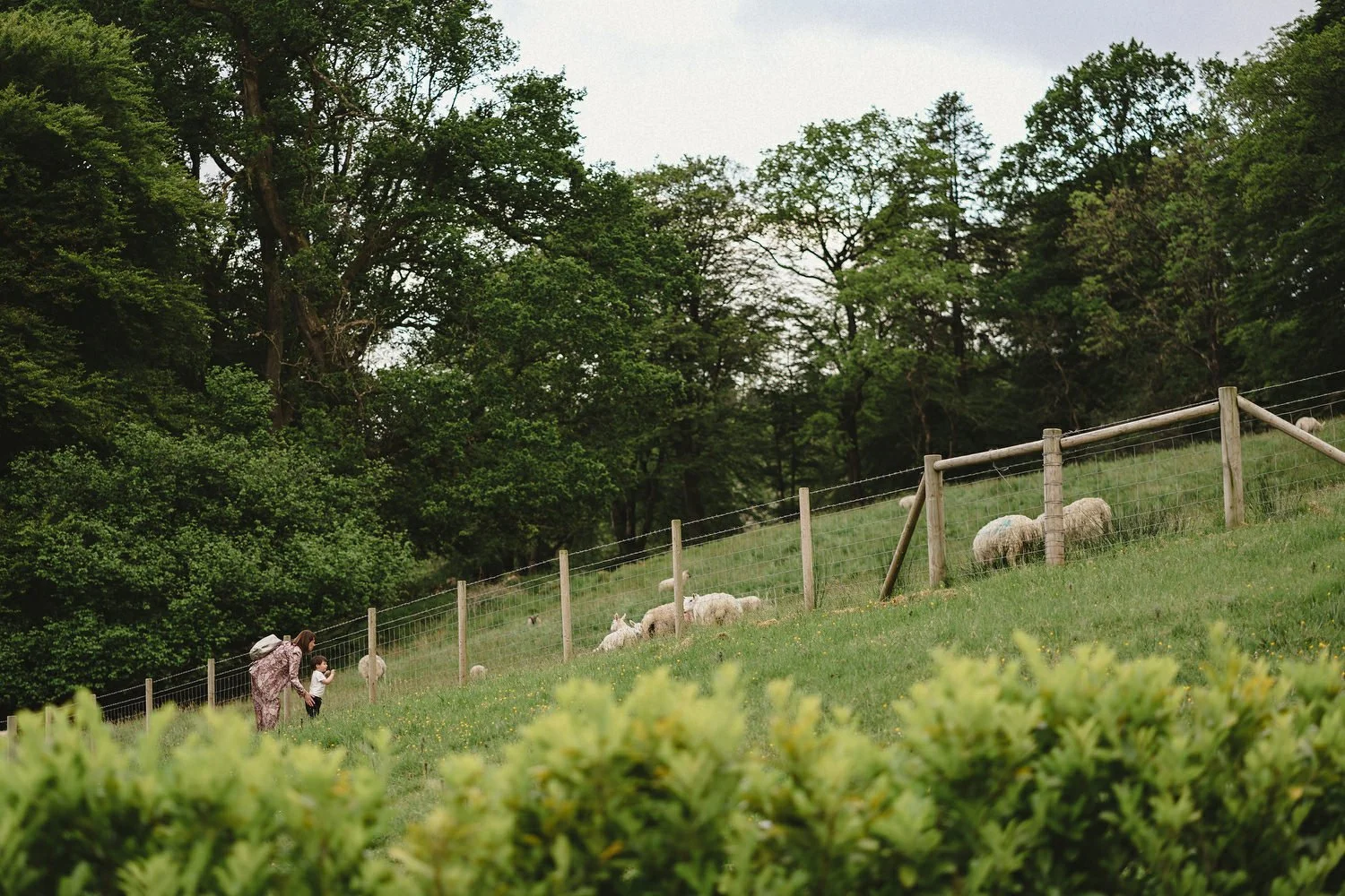  Best wedding photos of 2021. Best Wedding photographers in Northern Ireland. 