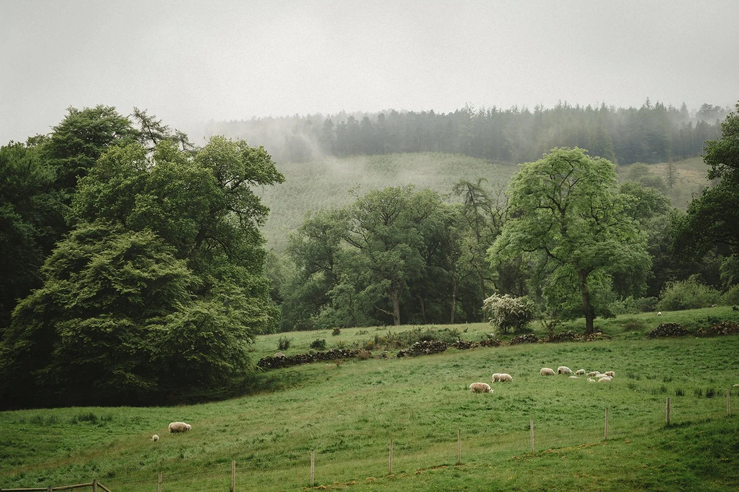  Best wedding photos of 2021. Best Wedding photographers in Northern Ireland. 