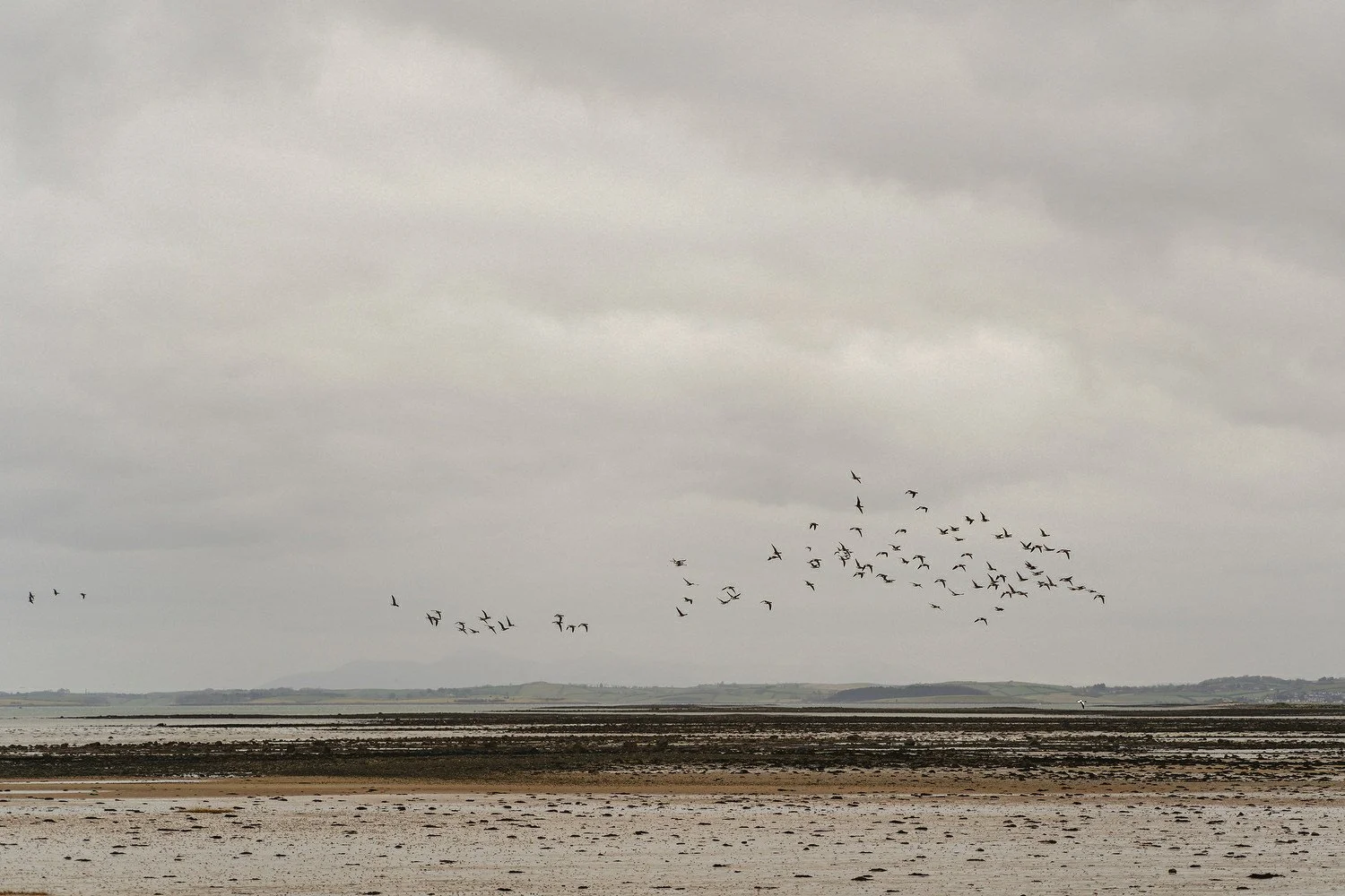  Best wedding photos of 2021. Best Wedding photographers in Northern Ireland. 