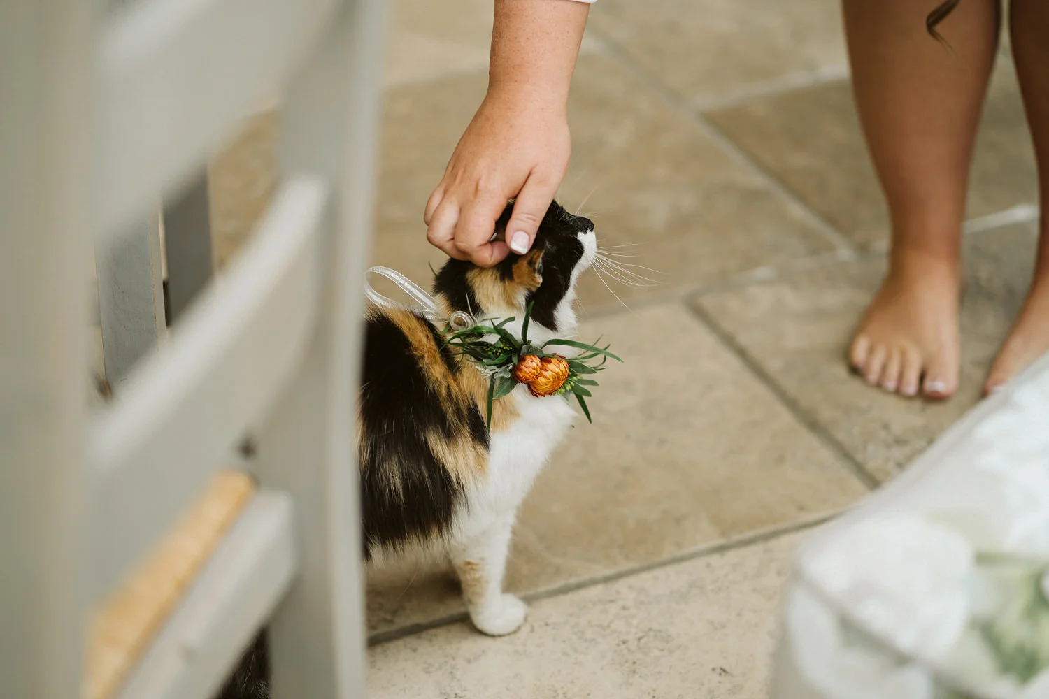  Some of the best wedding photographs in the world. The best Wedding photos in the europe 2018. The best wedding photos in Ireland. Sony wedding photos. Sony a7iii wedding camera. 