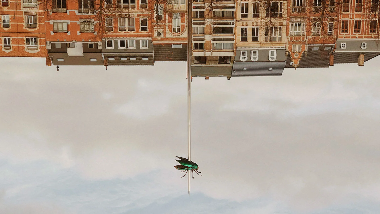  Some of the best wedding photographs in the world. The best Wedding photos in the europe 2018. The best wedding photos in Ireland. Sony wedding photos. Sony a7iii wedding camera. 