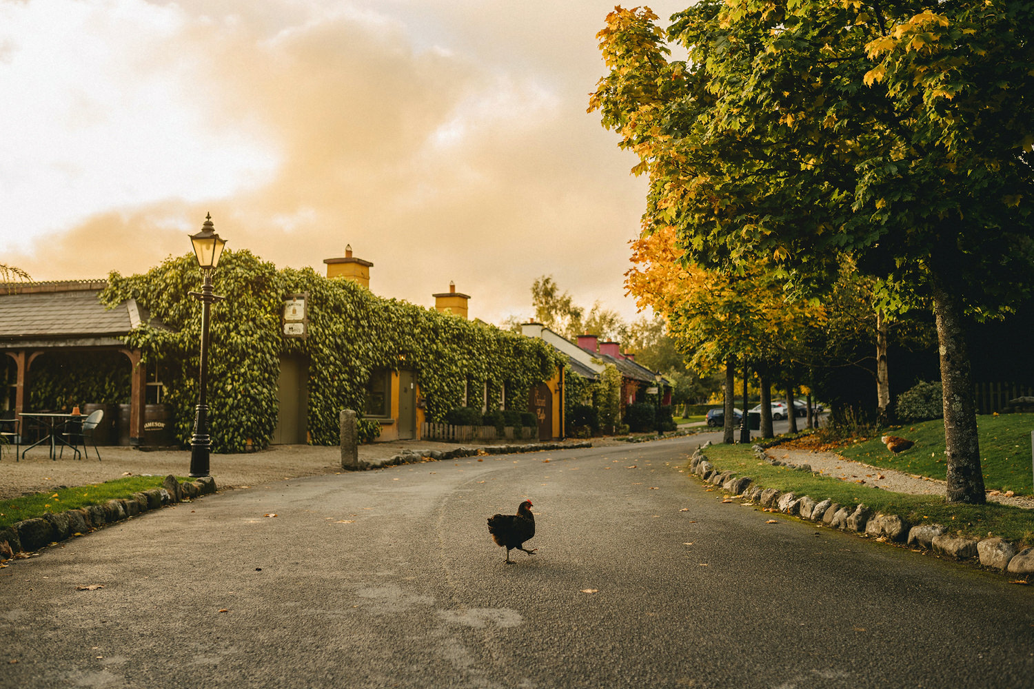  Some of the best wedding photographs in the world. The best Wedding photos in the europe 2018. The best wedding photos in Ireland. Sony wedding photos. Sony a7iii wedding camera. 