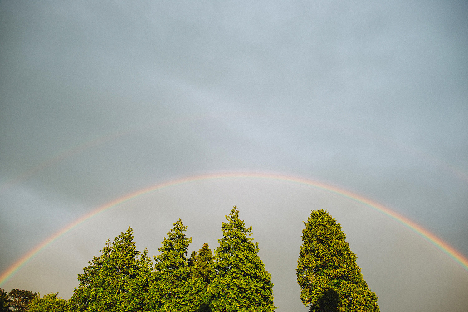 Wedding Photographers Northern Ireland Cultra Fiona Alex 104.JPG