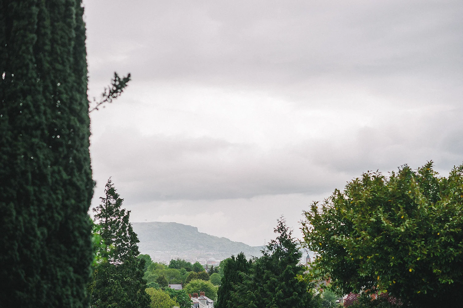 Wedding Photographers Northern Ireland Cultra Fiona Alex 042.JPG