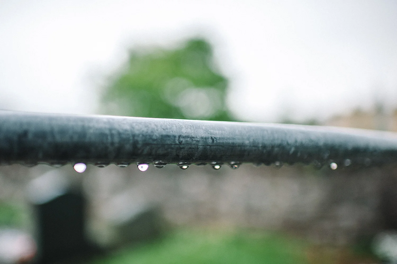 Wedding Photographers Northern Ireland Cultra Fiona Alex 043.JPG