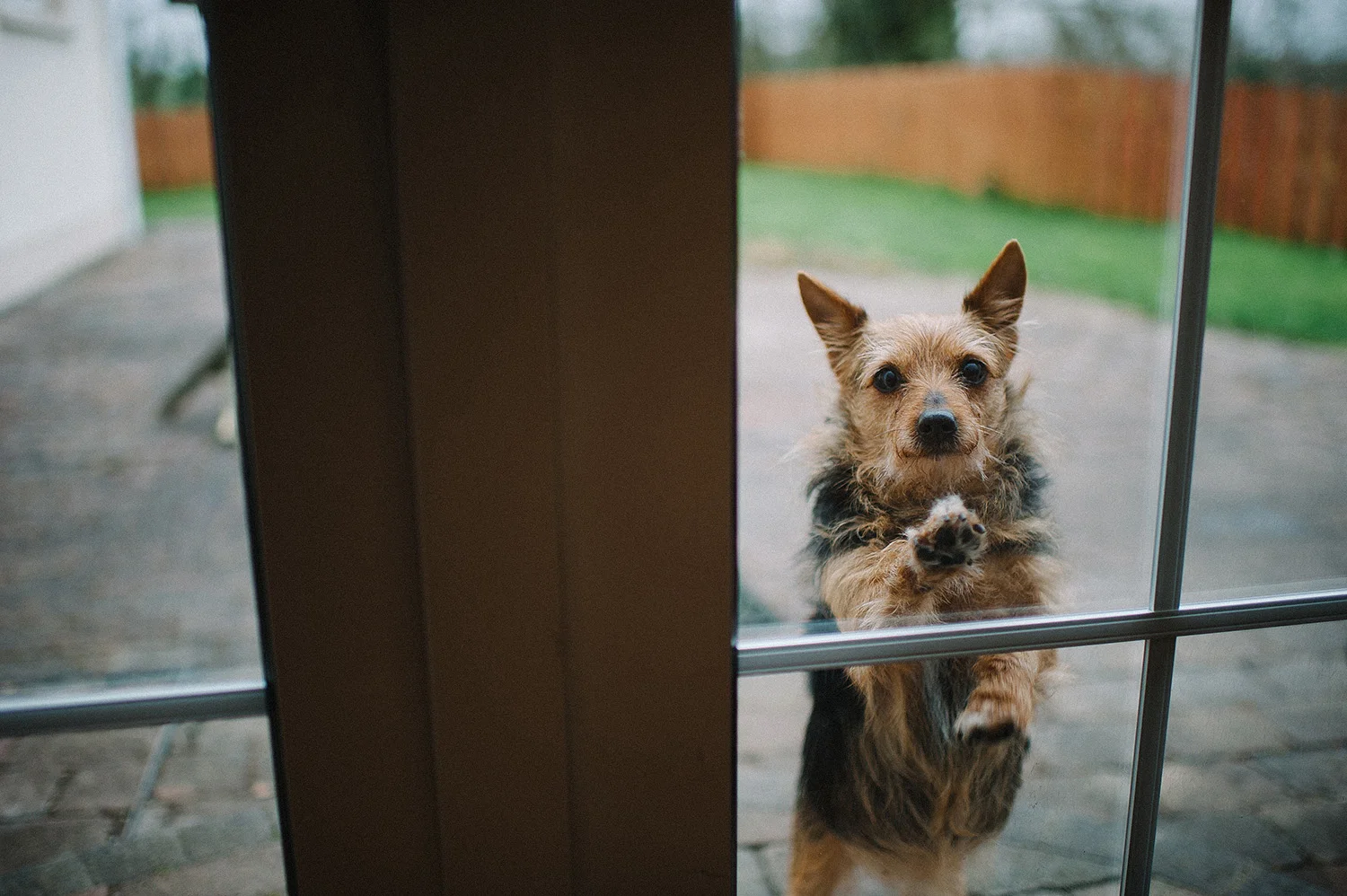 Kilronan Castle Wedding Photography Ireland 009.JPG