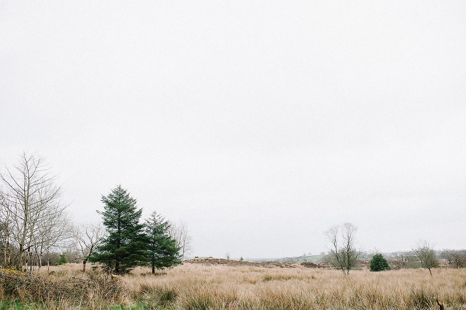 Kilronan Castle Wedding Photography Ireland 002.JPG