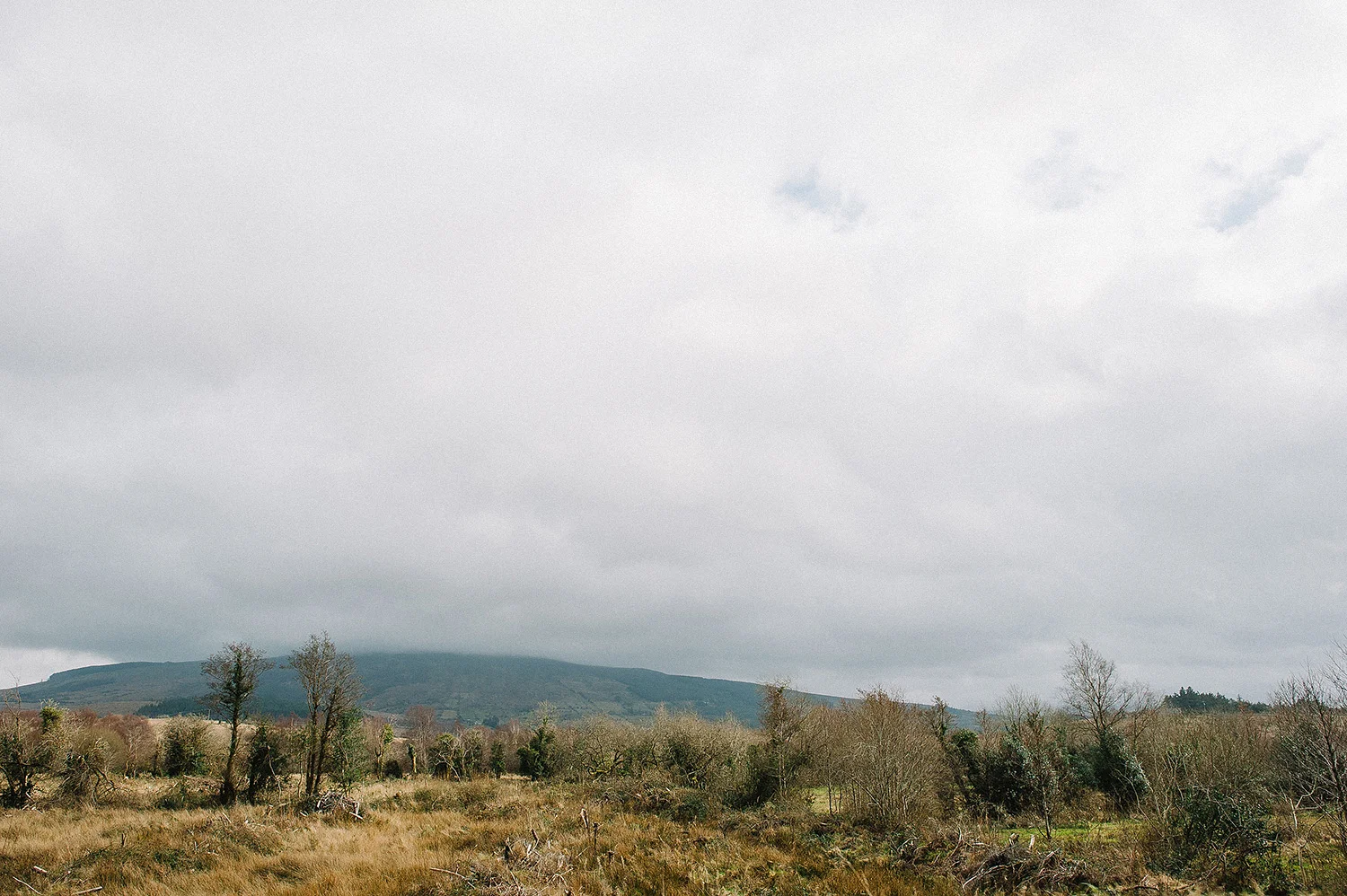 Kilronan Castle Wedding Photography Ireland 078.JPG