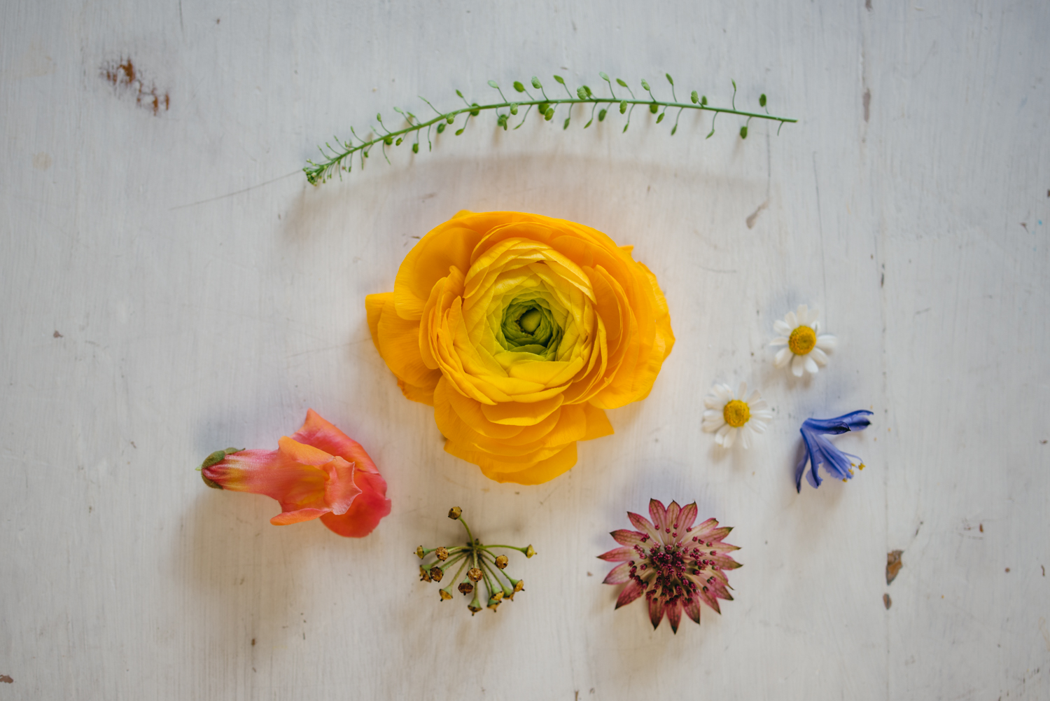  Northern Ireland Wedding Photographers 