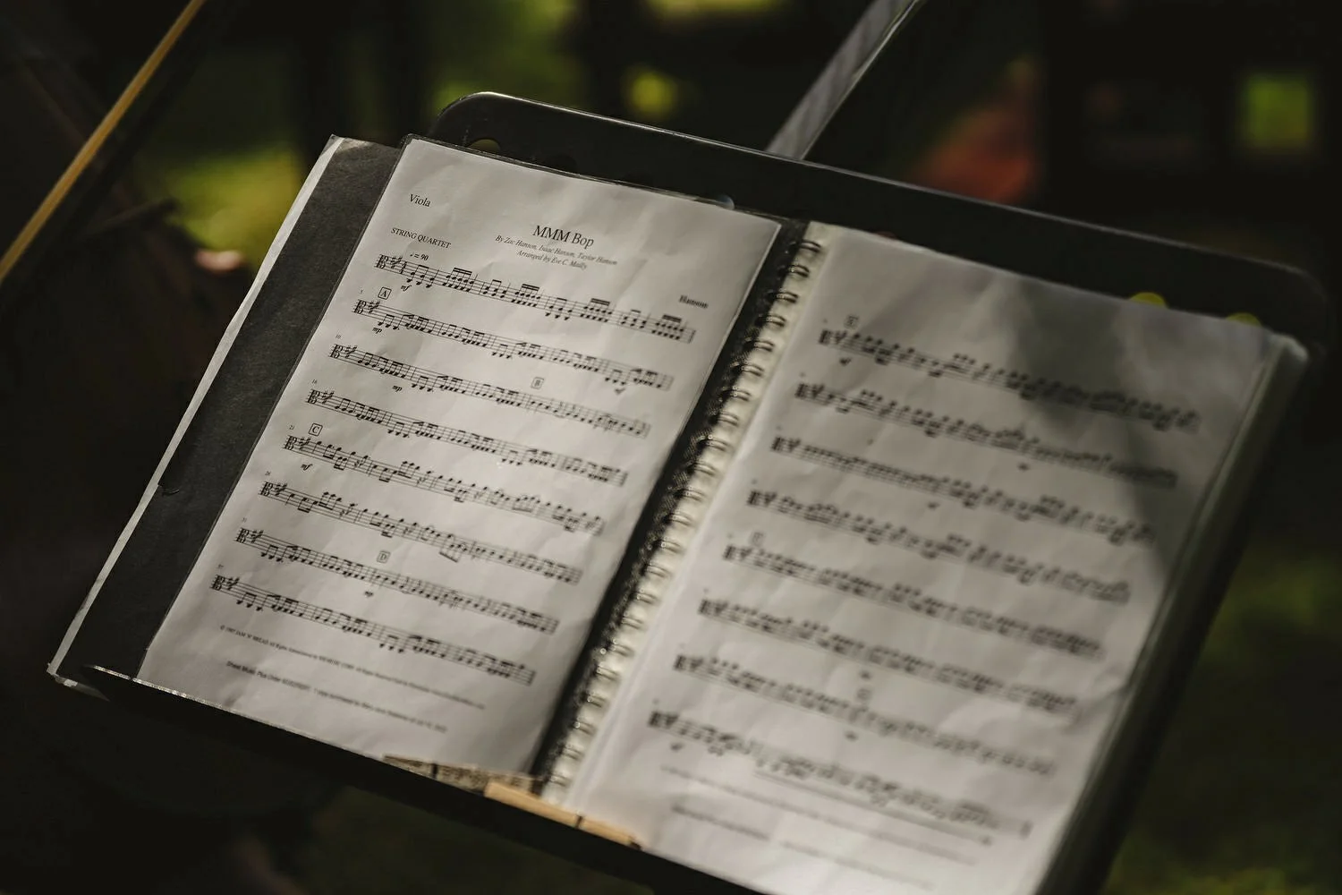 Brooke Lodge Macreddin Village Wedding Photos 052.JPG