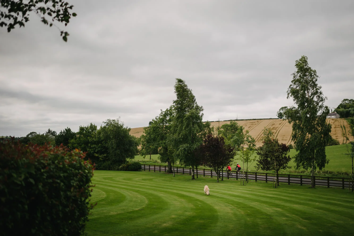  Castle Leslie Wedding Photography.  Destination Wedding Photographers Northern Ireland. 