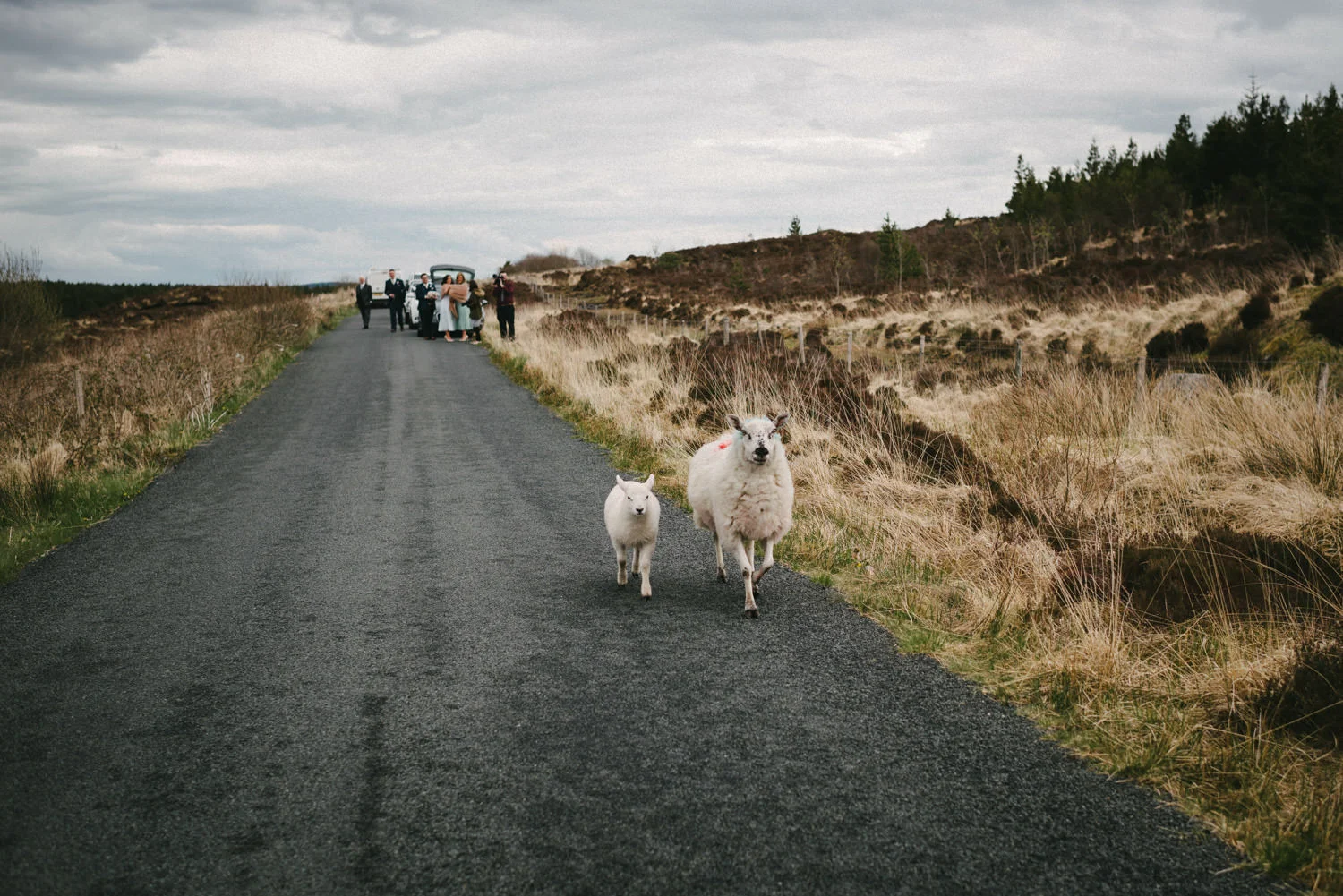  Northern Ireland Wedding Photographers Photography 