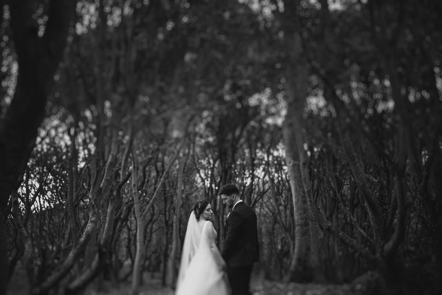  Clandeboye Lodge Wedding Photos 