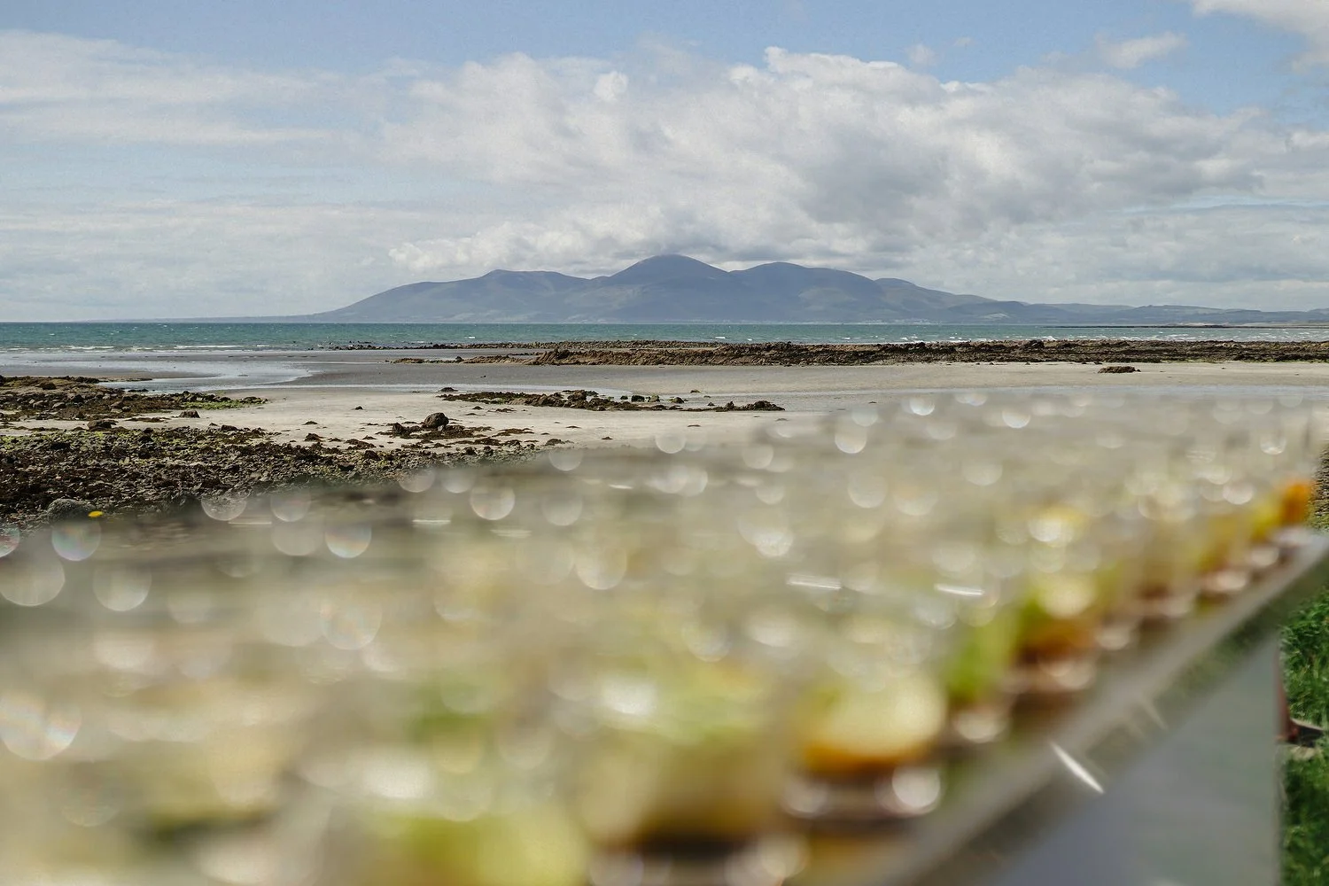 CoCo Belfast Wedding photos 074.JPG