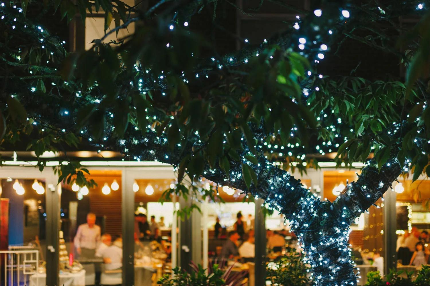 Deanes at Queens Wedding Northern Ireland 162.JPG