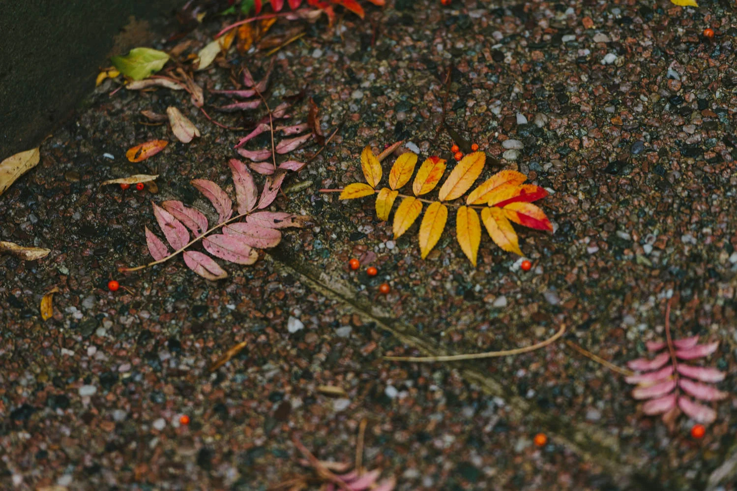 Deanes at Queens Wedding Northern Ireland 092.JPG