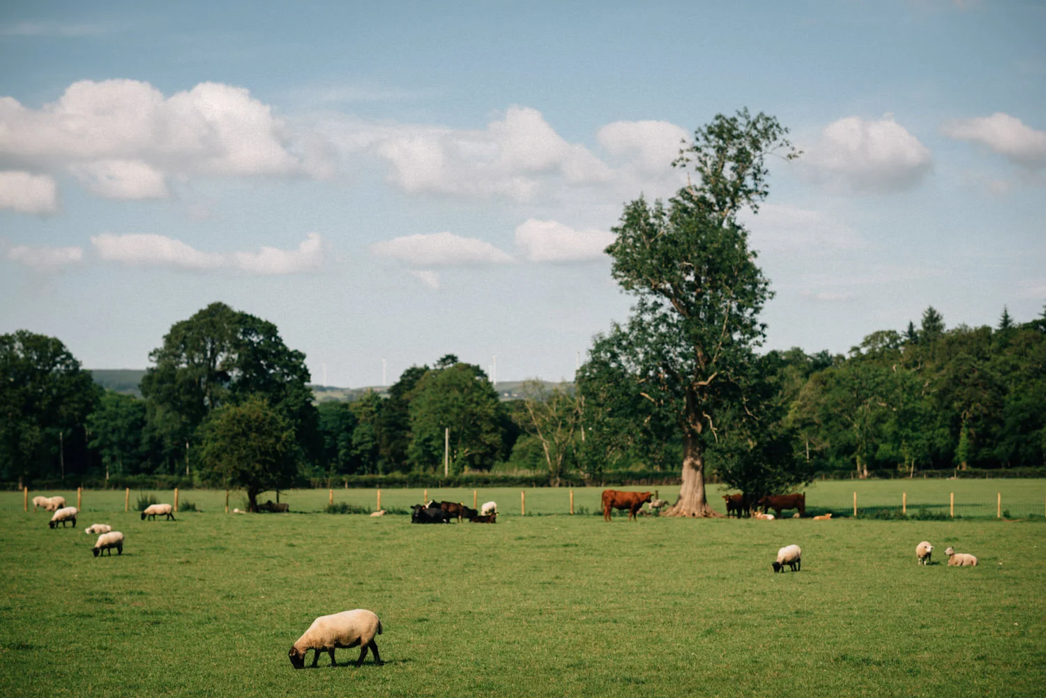  Drenagh Estate Wedding Photography Northern Ireland 