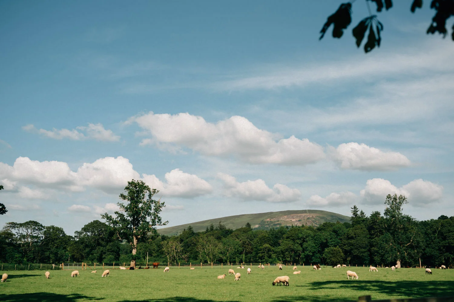  Drenagh Estate Wedding Photography Northern Ireland 