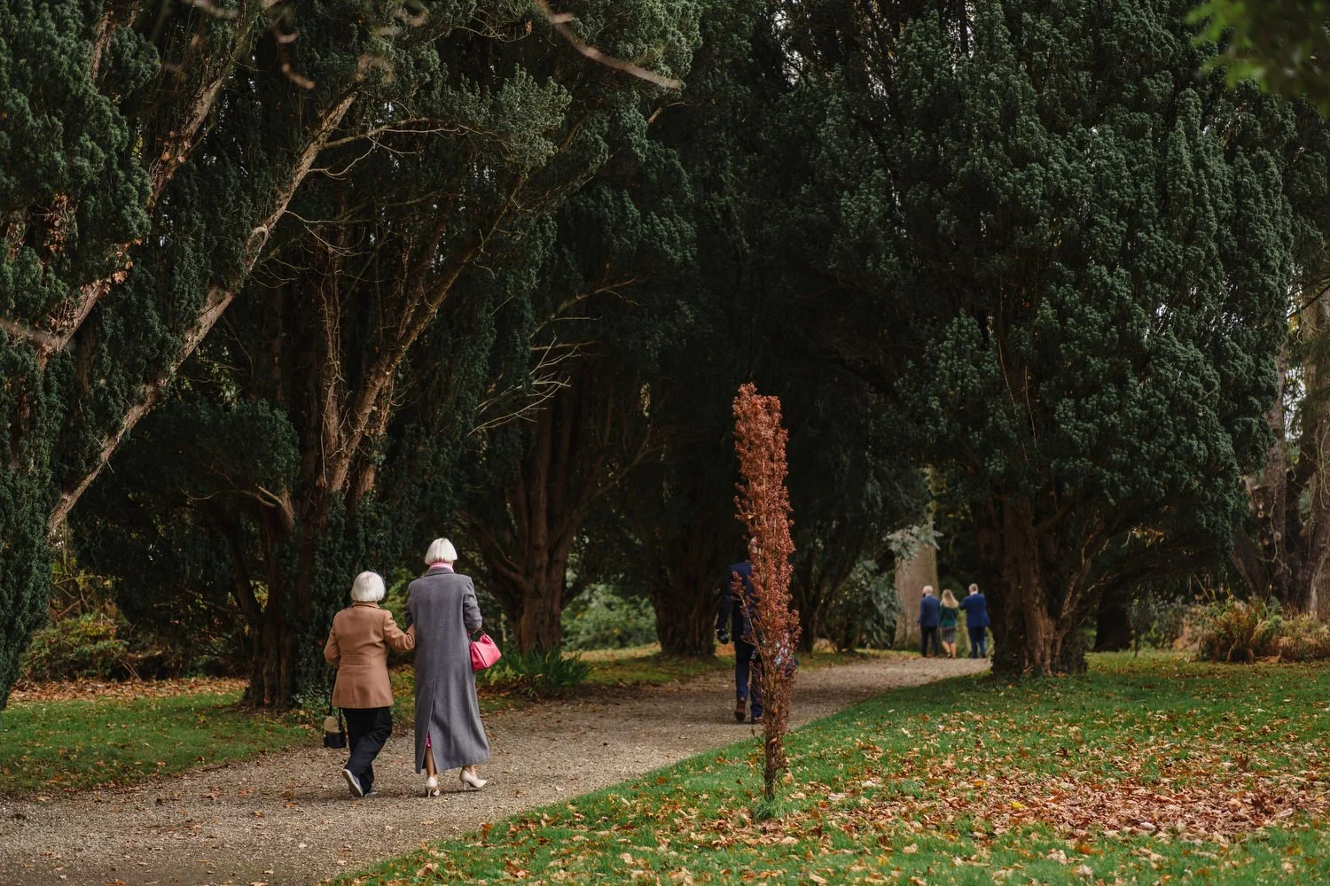  Drenagh Estate wedding photos. Drenagh Estate Winter wedding photos 
