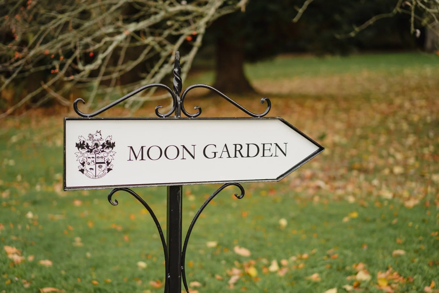  Drenagh Estate wedding photos. Drenagh Estate Winter wedding photos 