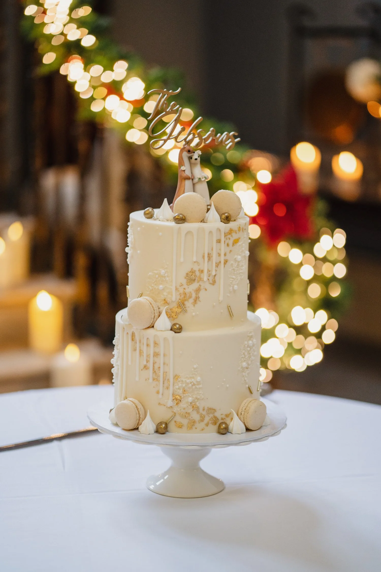  Drenagh Estate wedding photos. Drenagh Estate Winter wedding photos 