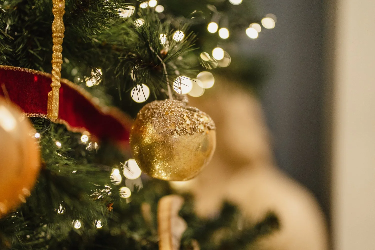  Drenagh Estate wedding photos. Drenagh Estate Winter wedding photos 