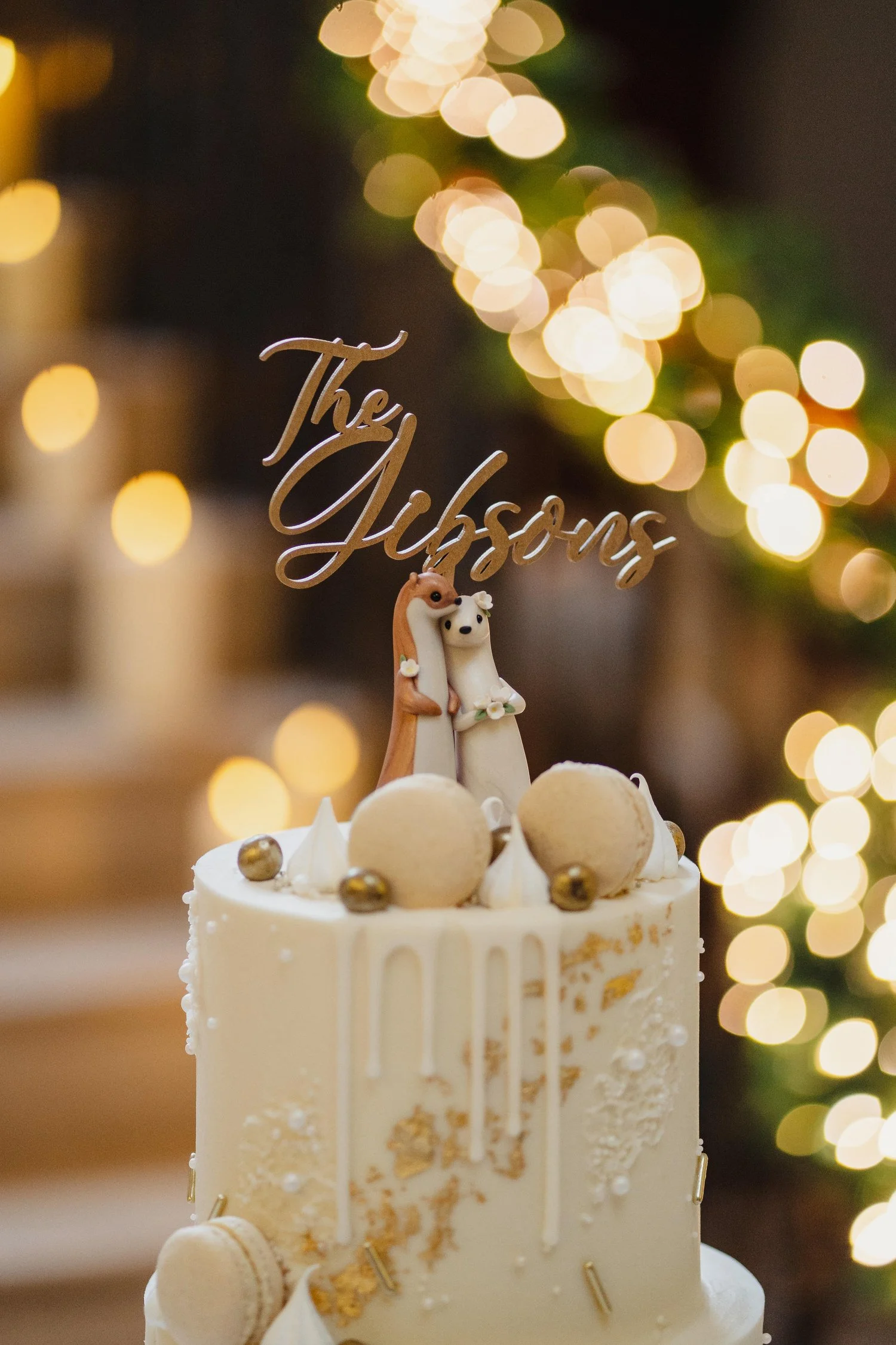  Drenagh Estate wedding photos. Drenagh Estate Winter wedding photos 