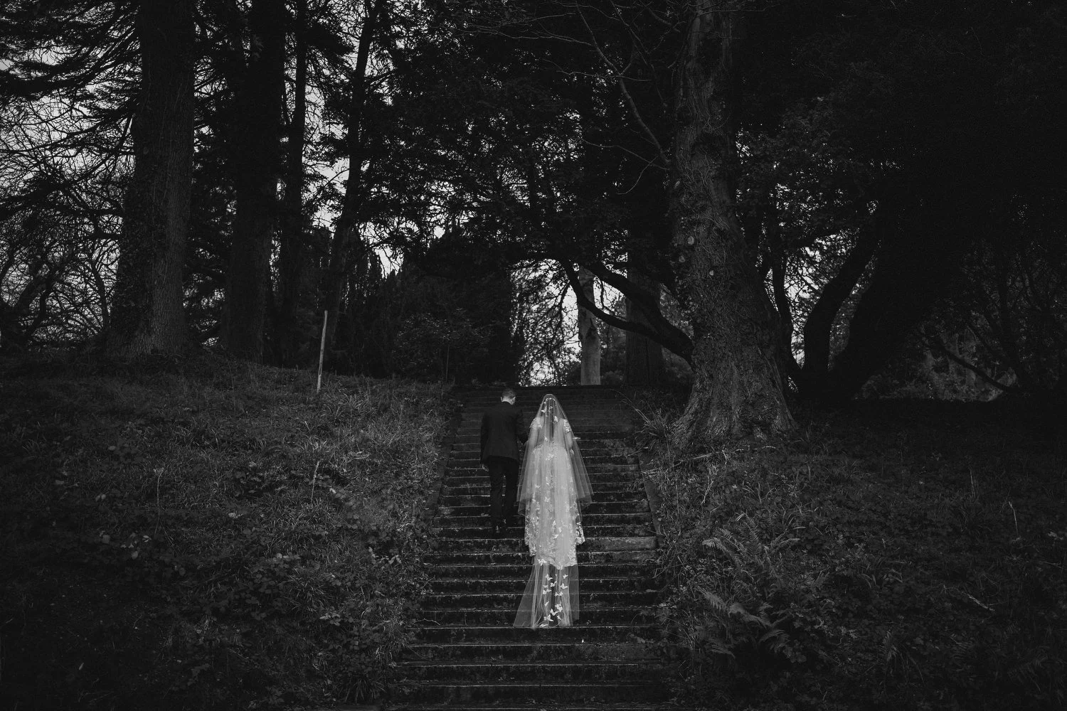  Drenagh Estate wedding photos. Drenagh Estate Winter wedding photos 